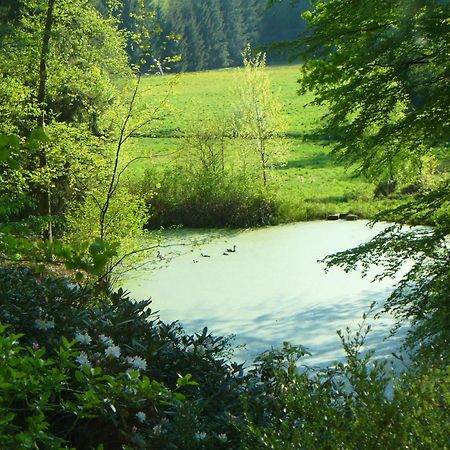 Penzion Forstgut Stuebeckshorn Soltau Exteriér fotografie