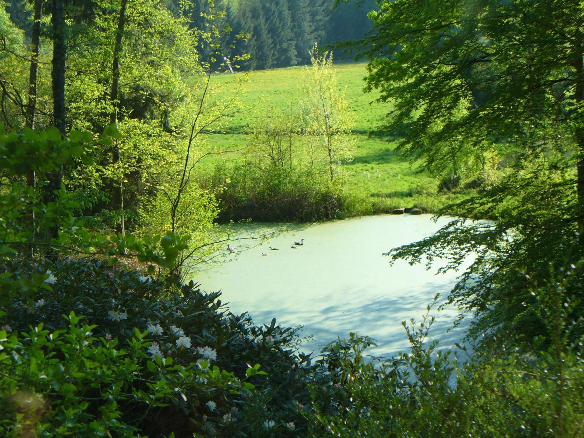 Penzion Forstgut Stuebeckshorn Soltau Exteriér fotografie